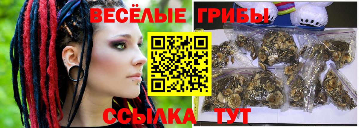 Псилоцибиновые грибы Cubensis Кольчугино