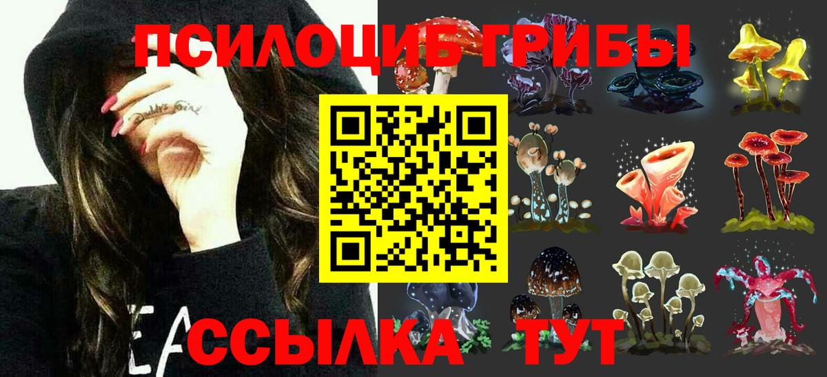 Кольчугино  Псилоцибиновые грибы ЛСД  Вход с VPN 